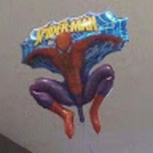 Meet your Posher, Damp